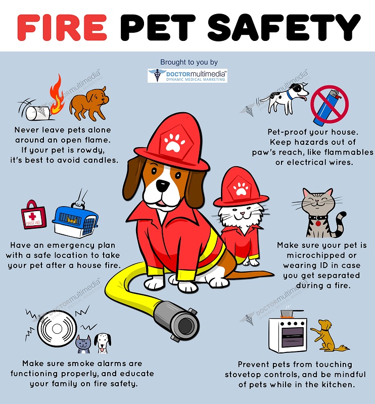 Fire-Safety-and-Your-Pets Fire-Safety-and-Your-Pets