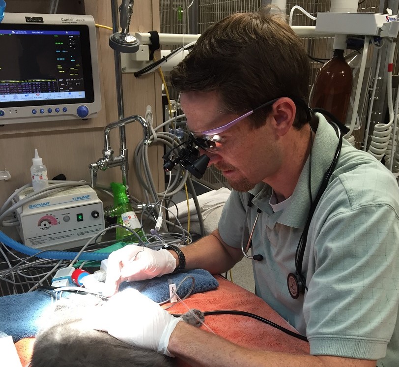 Dr. Powers During Rhinoscopy Procedure