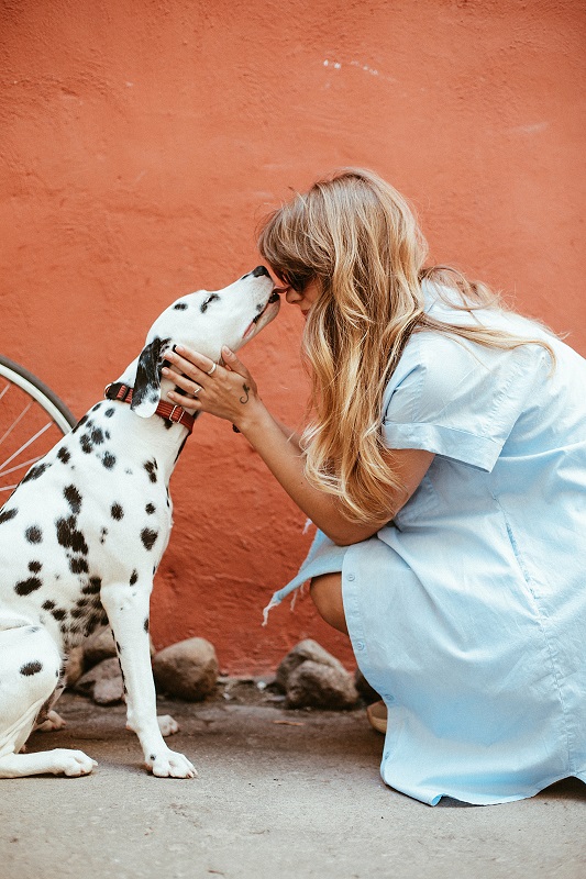 The-Importance-of-Microchipping-Your-Pet The-Importance-of-Microchipping-Your-Pet